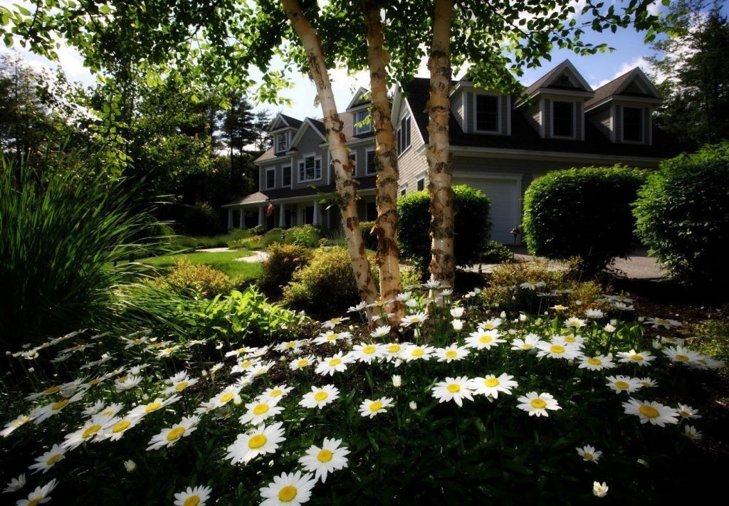 landscape-ideas-front-yard