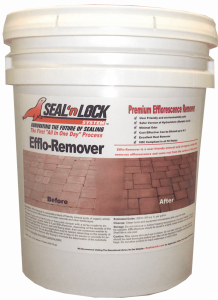 EffloRemover-Transparent-min-e1573944777136-744x1024-2.png